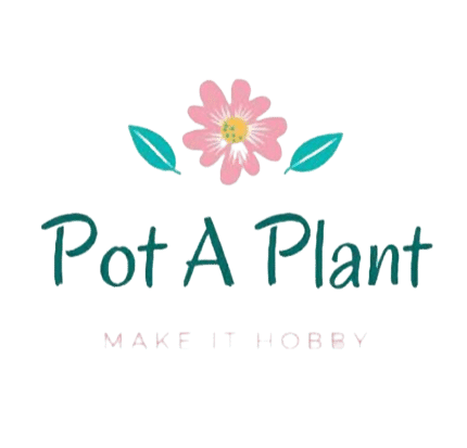 PotAPlant